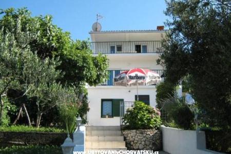 Maxi Appartamento foto 3