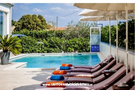 Appartamenti Kimi with swimming pool  Rovinj - Rovigno Croazia