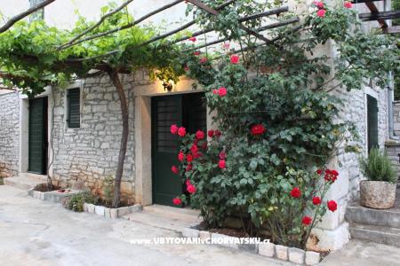 Casa Morgani foto 2