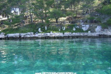Appartamenti - Otok Lavdara foto 2