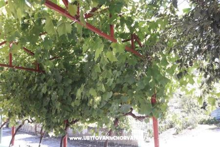Appartamento Stara kuća  foto 3