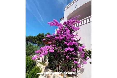 Appartamenti Pinea Sol foto 3
