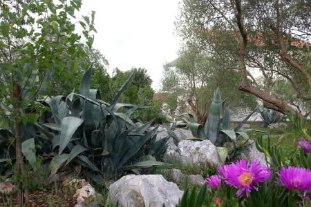 Appartamenti Vlado foto 4