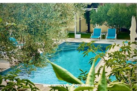 Villa Dube Slano/ villa con piscina foto 4