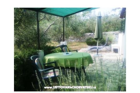 Appartamenti Oliva - Otok Šolta foto 3