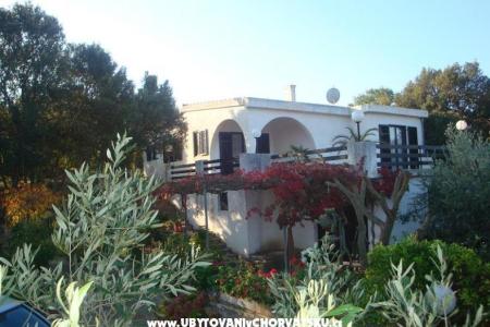 Villa Bepina Isola di Solta Croazia