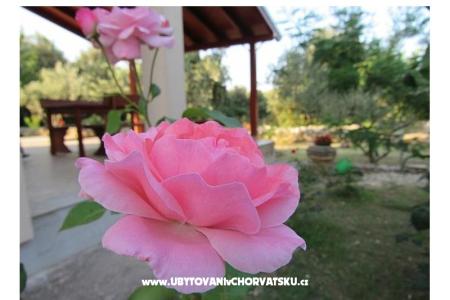 Case vacanza Dević foto 2