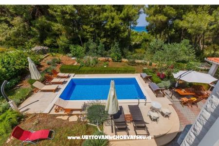 Villa Kamenica foto 3