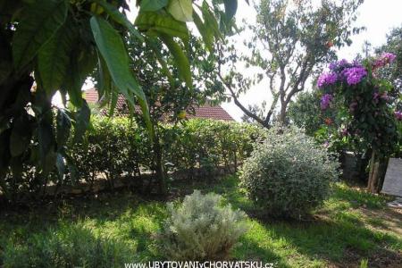 Villa Vukoja foto 3