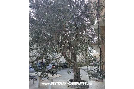 Appartamenti Mena foto 4