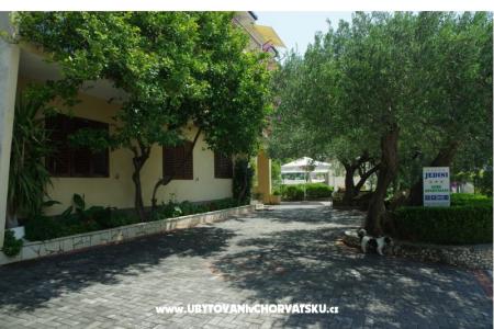 Villa Jedini foto 3