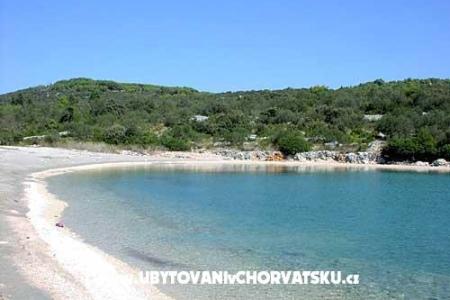 Appartamenti Vidov foto 5