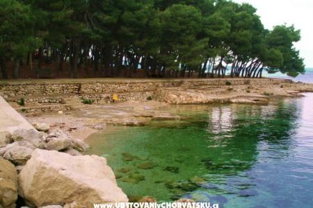 Appartamenti Luce foto 2