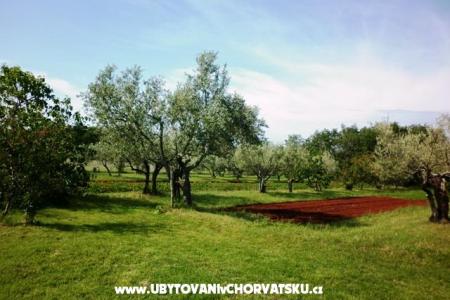 Appartamenti Linda foto 3