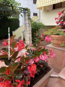 Appartamenti Maris  foto 2