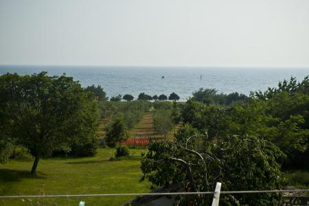 Appartamenti Paradinovic foto 2