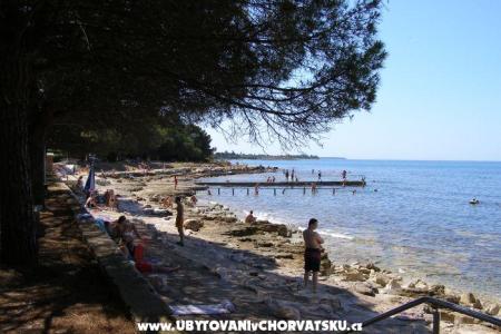 Appartamenti San Pelegrin Umag Croazia