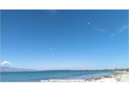 Appartamenti Alma Isola di Vir Croazia