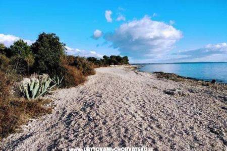 Appartamenti Samanta Vir foto 4