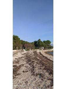 Appartamenti Traum Isola di Vir Croazia