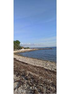 Appartamenti Traum foto 2