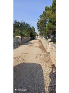 Appartamenti Traum foto 3