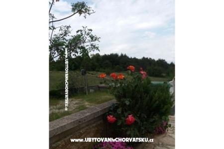 Appartamenti Vlašić foto 5