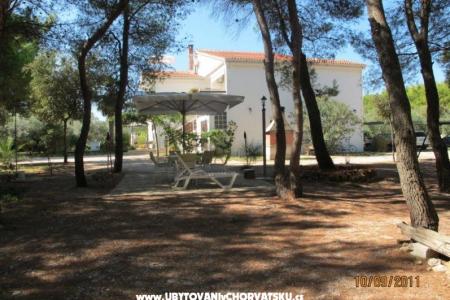 Appartamenti Liveric foto 4