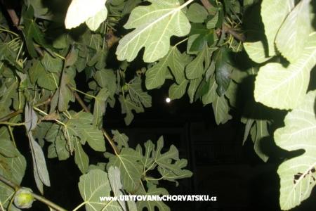 Appartamenti  Smokva   foto 4