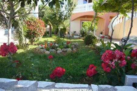 Appartamenti Ćosić  foto 3