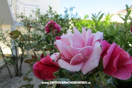 Appartamenti Kokor foto 4