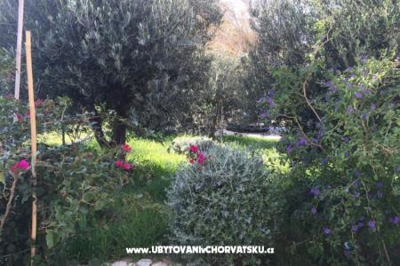 Appartamenti Villa Tribunj foto 3