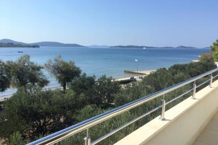 Galeb foto 2