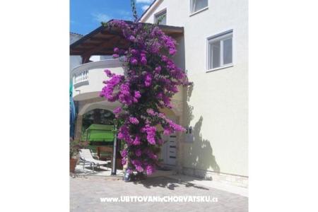 Appartamenti  Vesna  foto 2