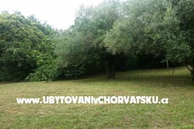 Appartamenti Rakovac Vrsar foto 4