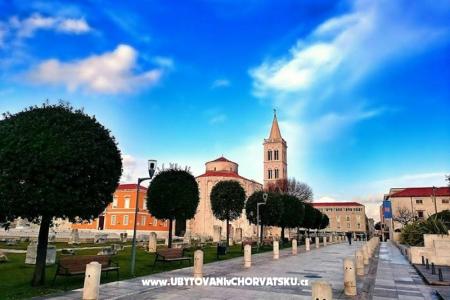 Appartamenti Ravkin foto 3
