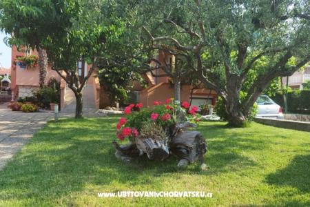 Appartamenti Riva foto 3