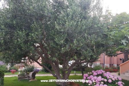 Appartamenti Riva foto 4