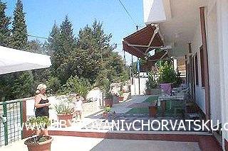Appartamenti Drago foto 4