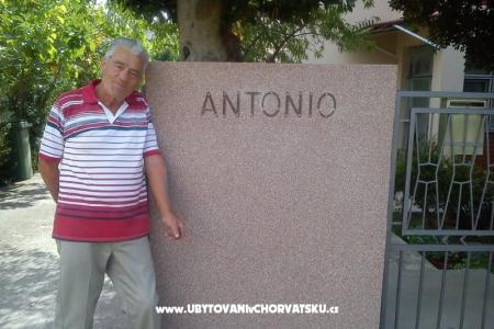 Appartamenti and rooms Antonio foto 3