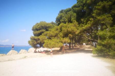 Appartamenti Asea Zadar foto 5