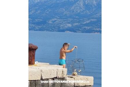 Appartamenti Roko  foto 4