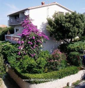 Villa IBIS Zadar Croazia