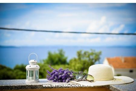 Villa IBIS foto 5