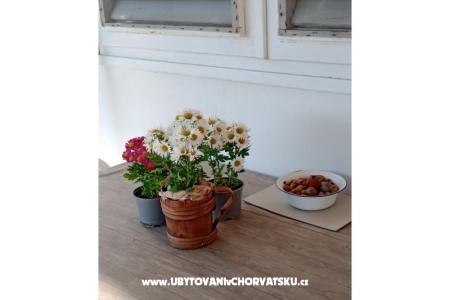 Appartamento Viter foto 5