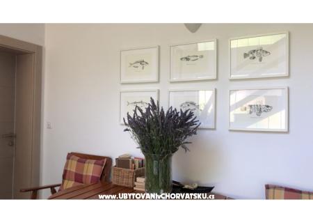Appartamenti Jardin foto 4