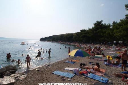 Appartamenti Gabrić foto 4