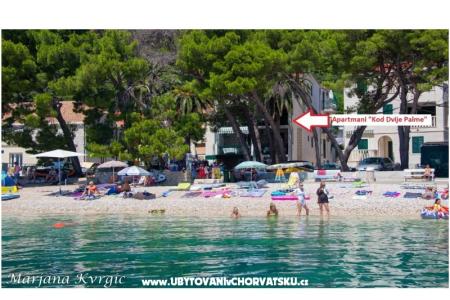 Appartamenti u dvou palem Zivogosce Croazia