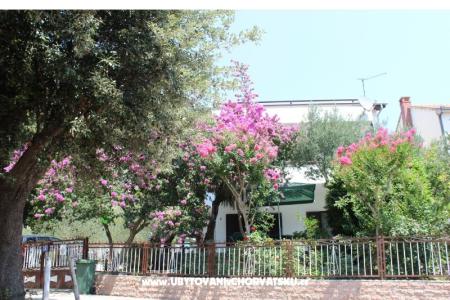 Appartamenti Vila Filipovic foto 2
