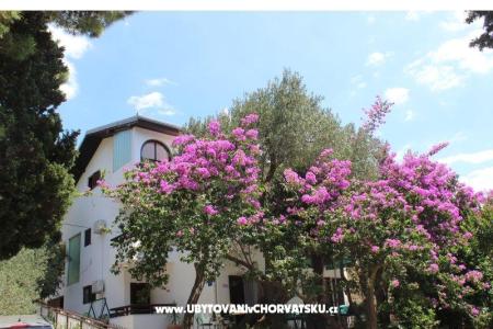 Appartamenti Vila Filipovic foto 3
